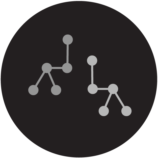 Black circle with dots connected by lines inside it.