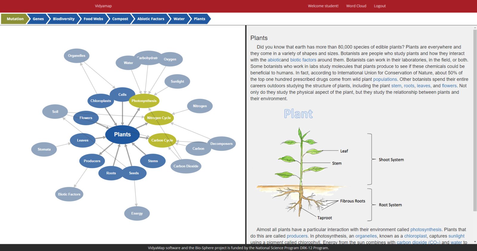 Vidyamap with a diagram of ovals and a full text description on the side.